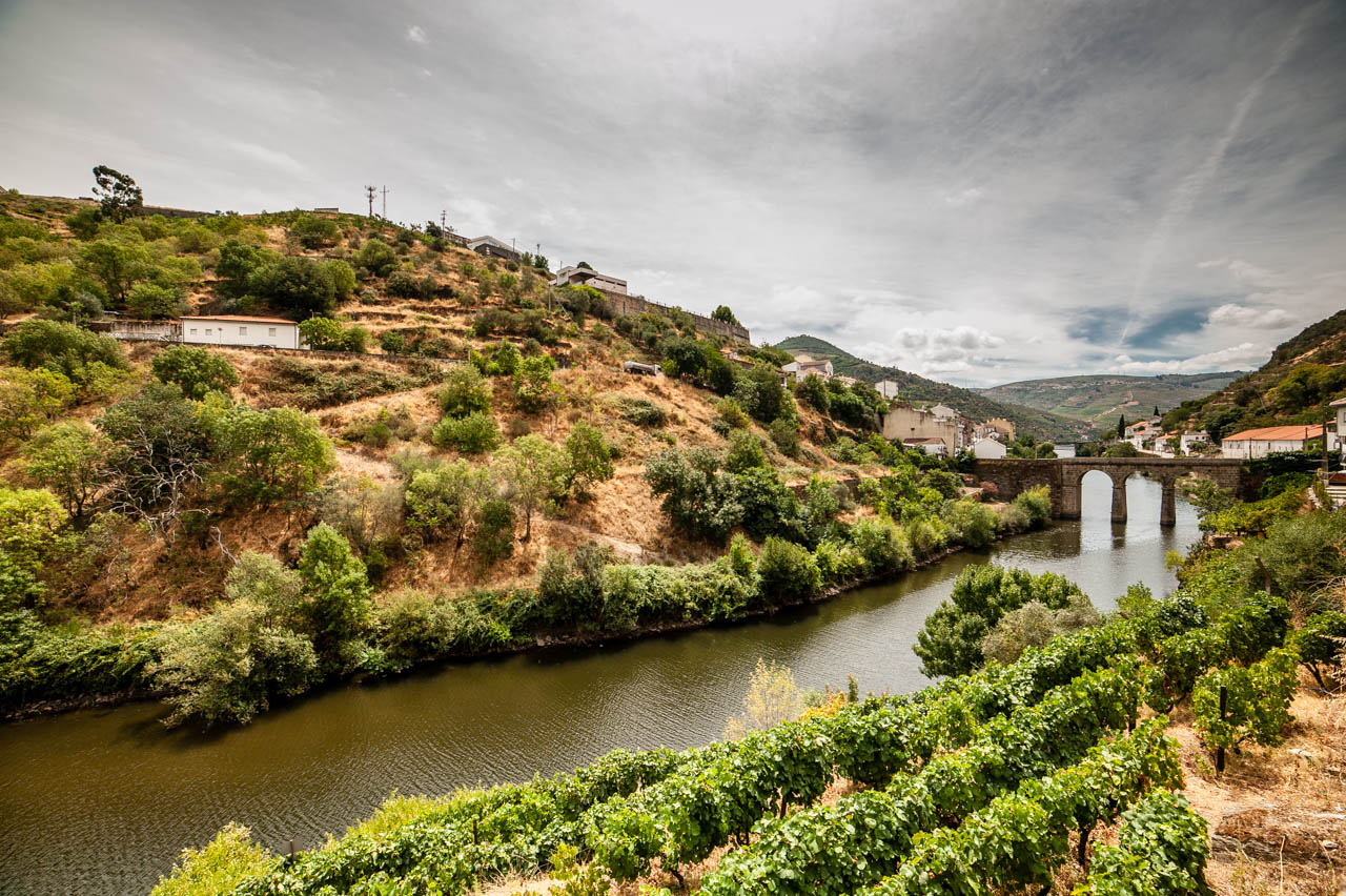 Vallée du Douro depuis Porto : excursion, train et croisière